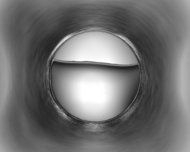 X0000086230910200703290941