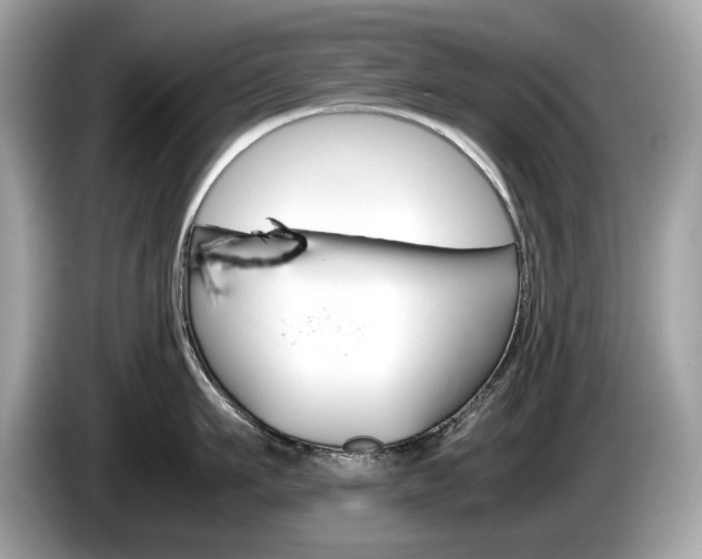 X0000086230911200703290941