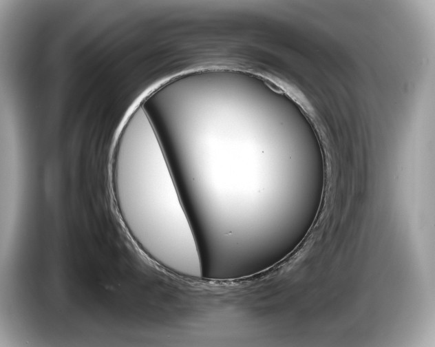 X0000086230912200703290941