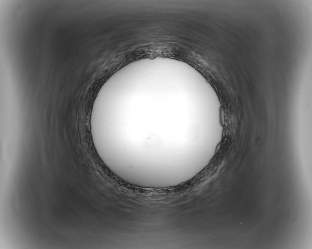 X0000086230913200703290940