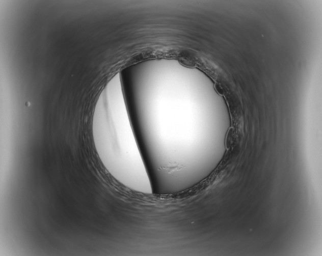 X0000086230914200703290940