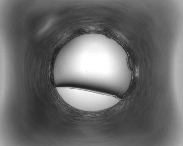 X0000086230915200703290940