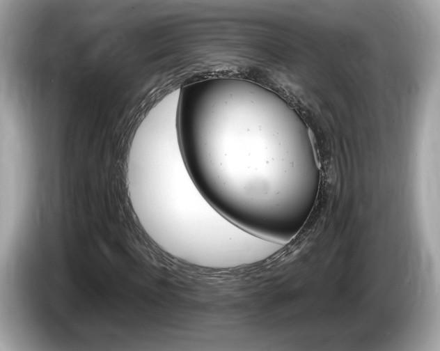 X0000086230916200703290940