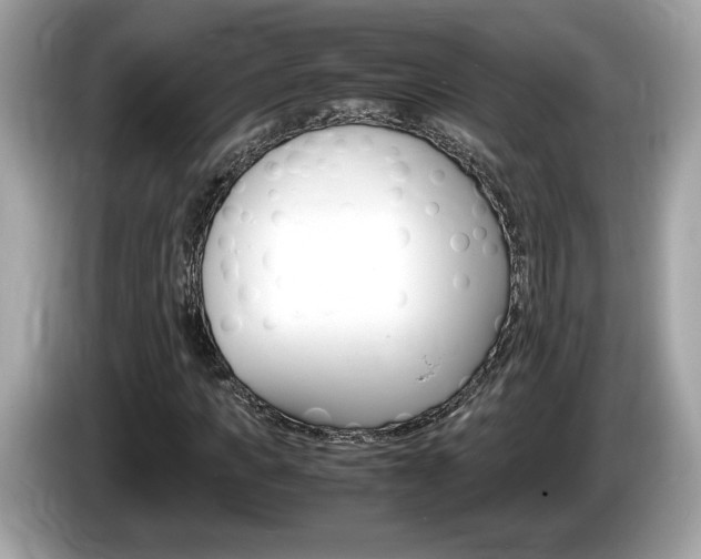 X0000086230917200703290940