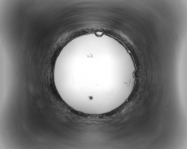 X0000086230918200703290940