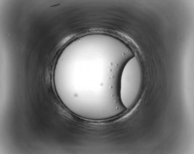 X0000086230921200703290940