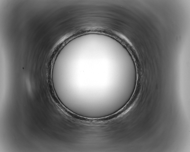 X0000086230922200703290940