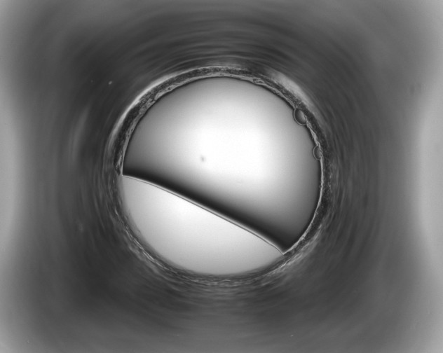 X0000086230923200703290940