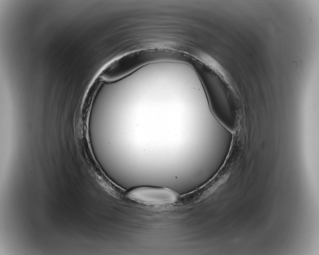 X0000086230924200703290940