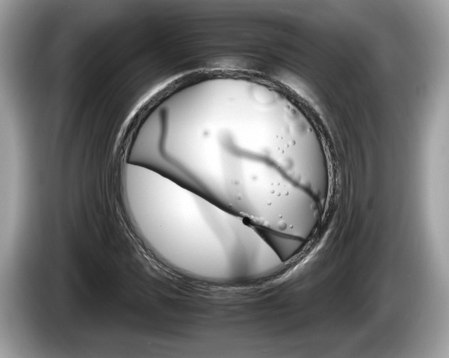 X0000086230925200703290940