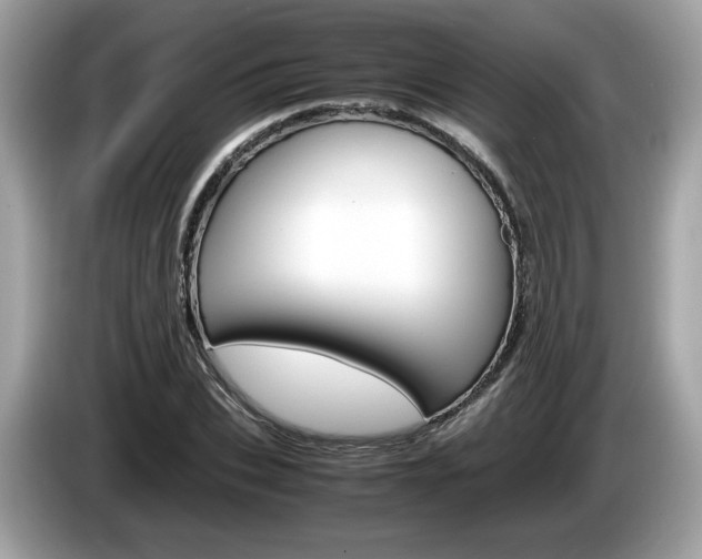X0000086230927200703290940