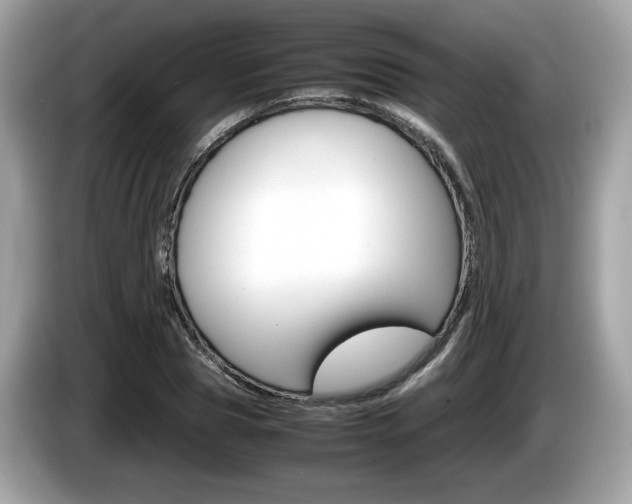 X0000086230929200703290940