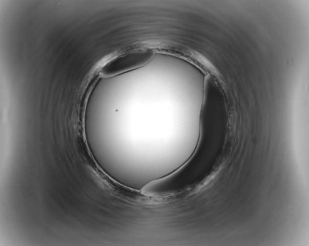 X0000086230930200703290940
