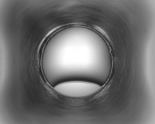 X0000086230931200703290940
