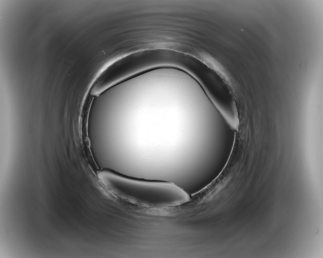 X0000086230932200703290940