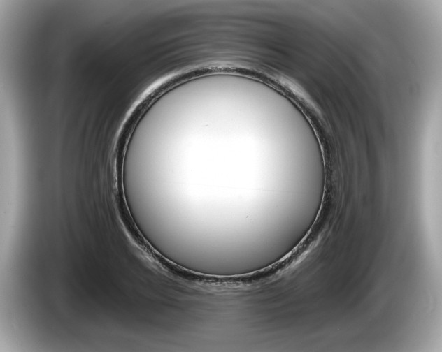 X0000086230934200703290940
