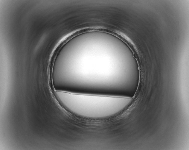 X0000086230935200703290940