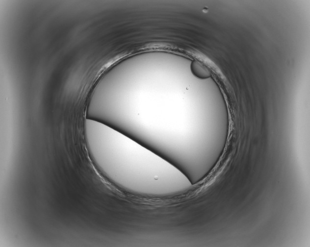 X0000086230937200703290940