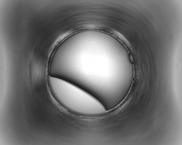 X0000086230938200703290940