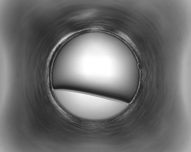X0000086230939200703290940