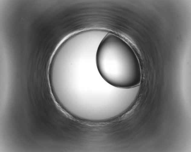 X0000086230942200703290940