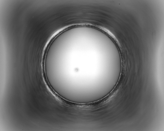 X0000086230943200703290940
