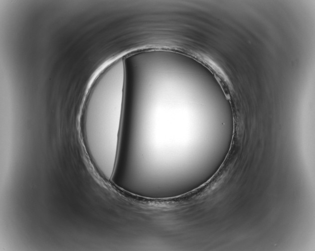X0000086230944200703290940