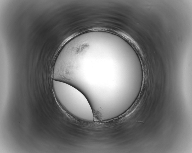X0000086230945200703290940