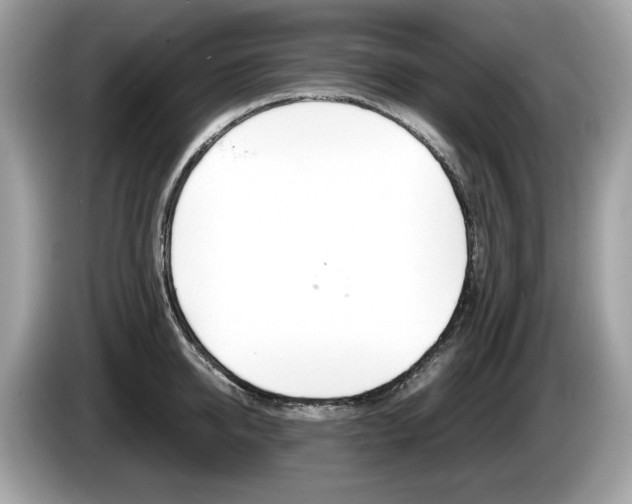 X0000086230950200703290941
