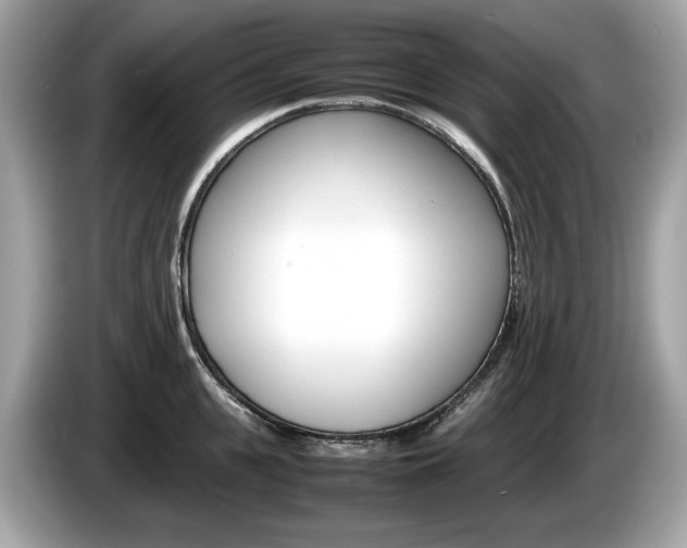 X0000086230951200703290941