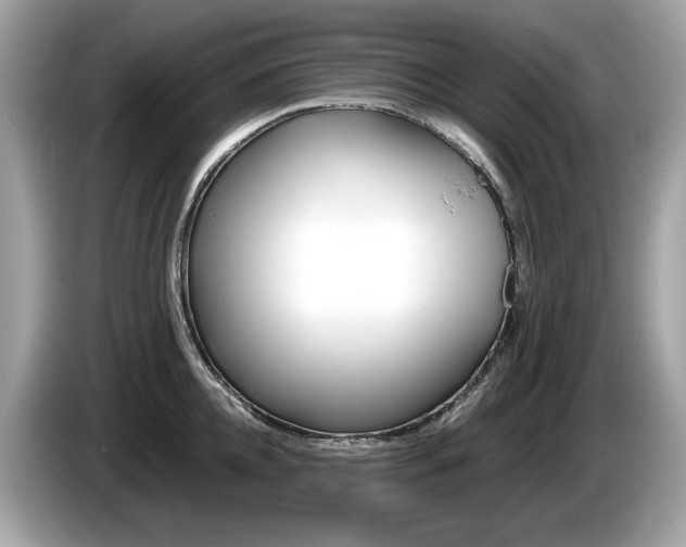 X0000086230952200703290941