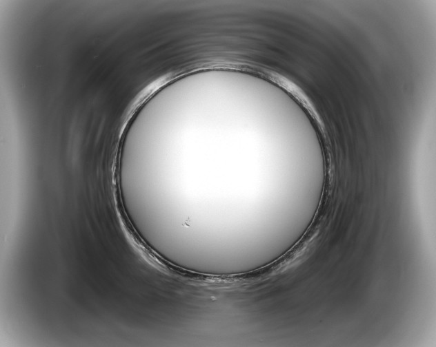 X0000086230954200703290941