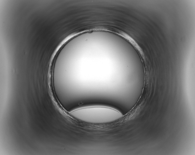 X0000086230955200703290941