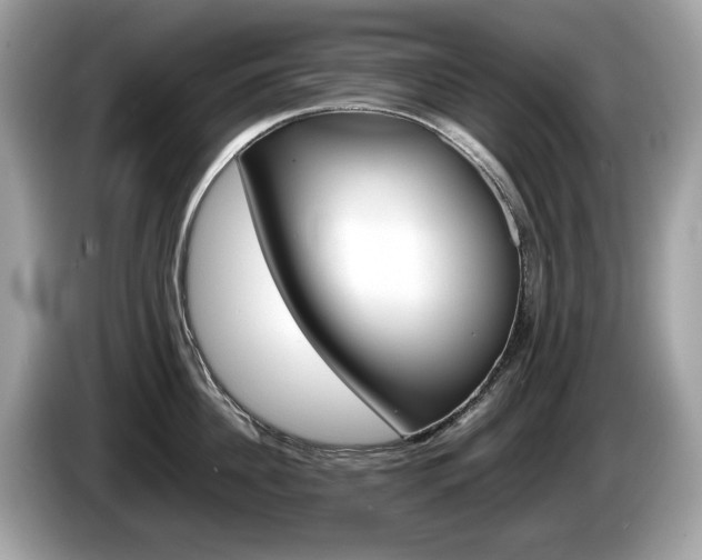 X0000086230956200703290941