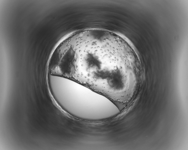 X0000086230957200703290941