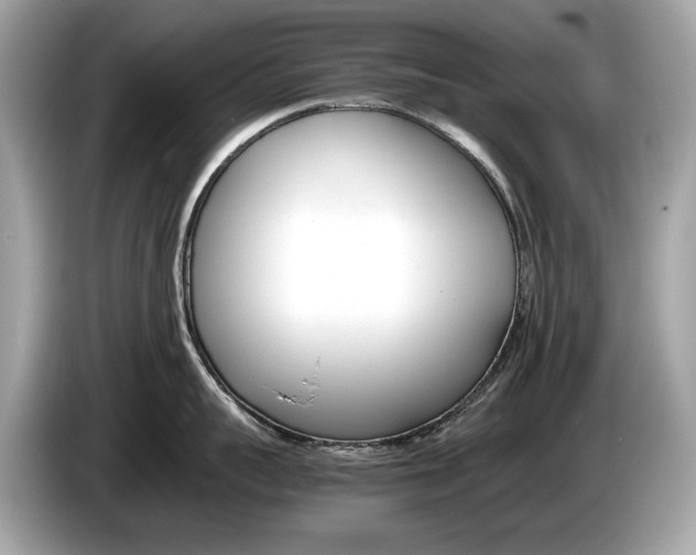 X0000086230959200703290941