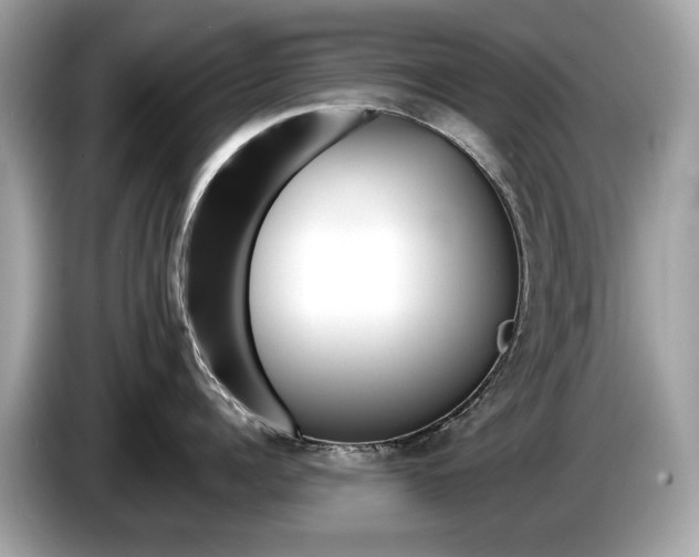 X0000086230960200703290941