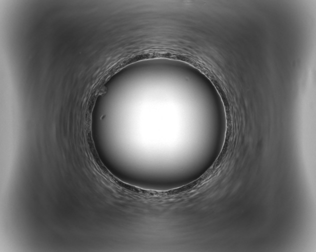 X0000086230961200703290940