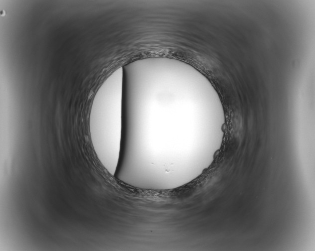 X0000086230962200703290940