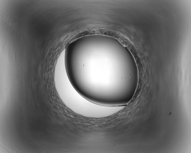 X0000086230965200703290940