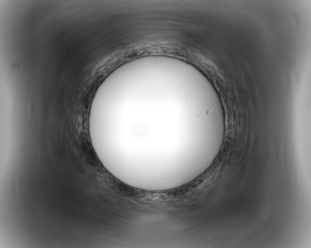 X0000086230966200703290940