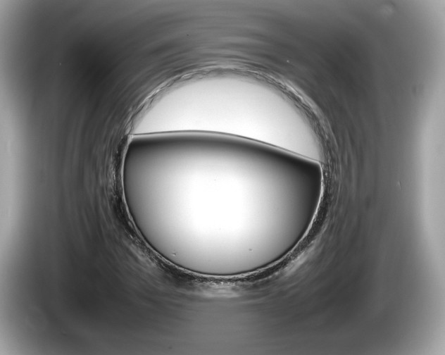 X0000086230969200703290940