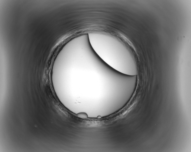 X0000086230970200703290940
