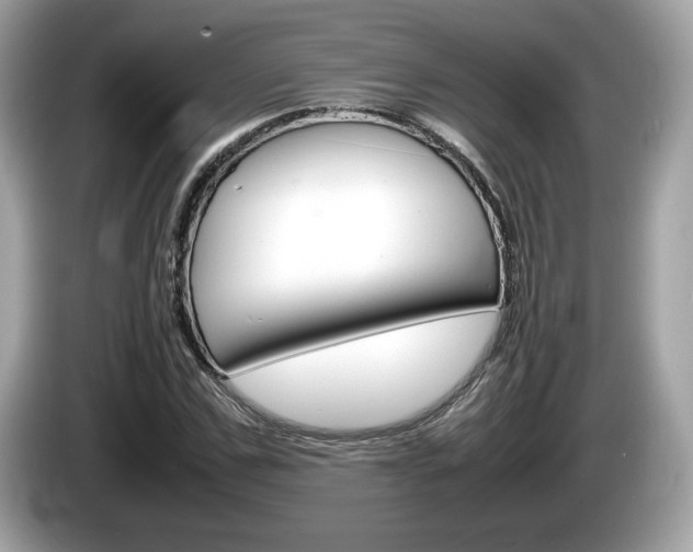X0000086230971200703290940