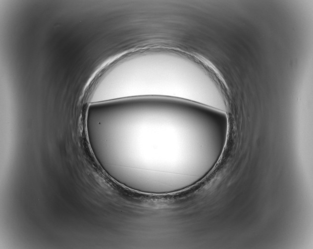X0000086230973200703290940