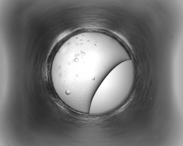 X0000086230974200703290940