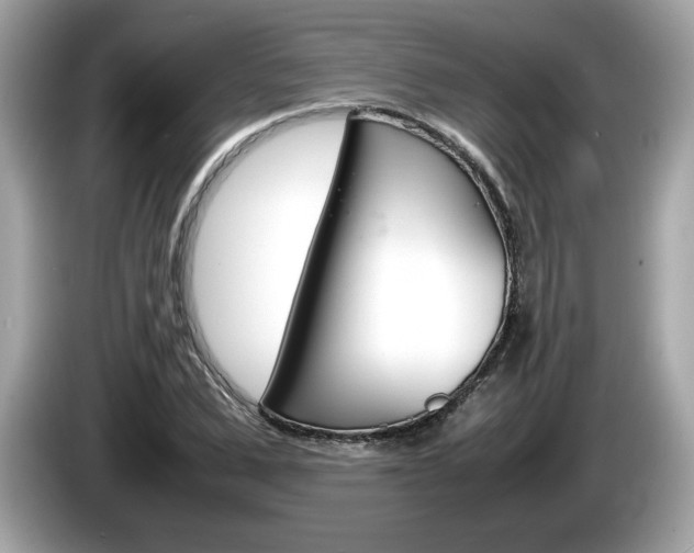 X0000086230975200703290940
