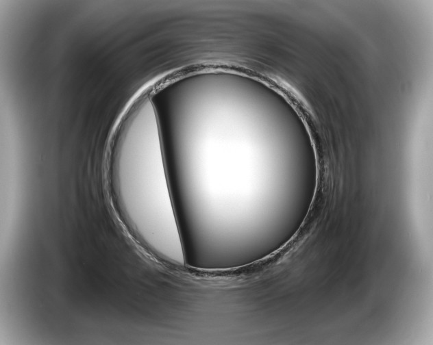 X0000086230976200703290940