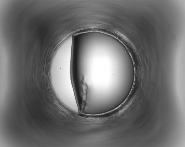 X0000086230977200703290940