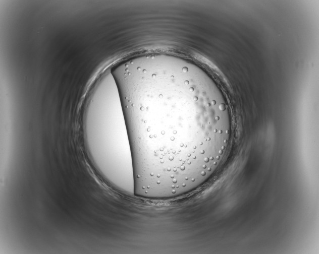 X0000086230978200703290940